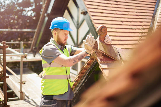 Best Roof Gutter Cleaning  in Belmont, CA